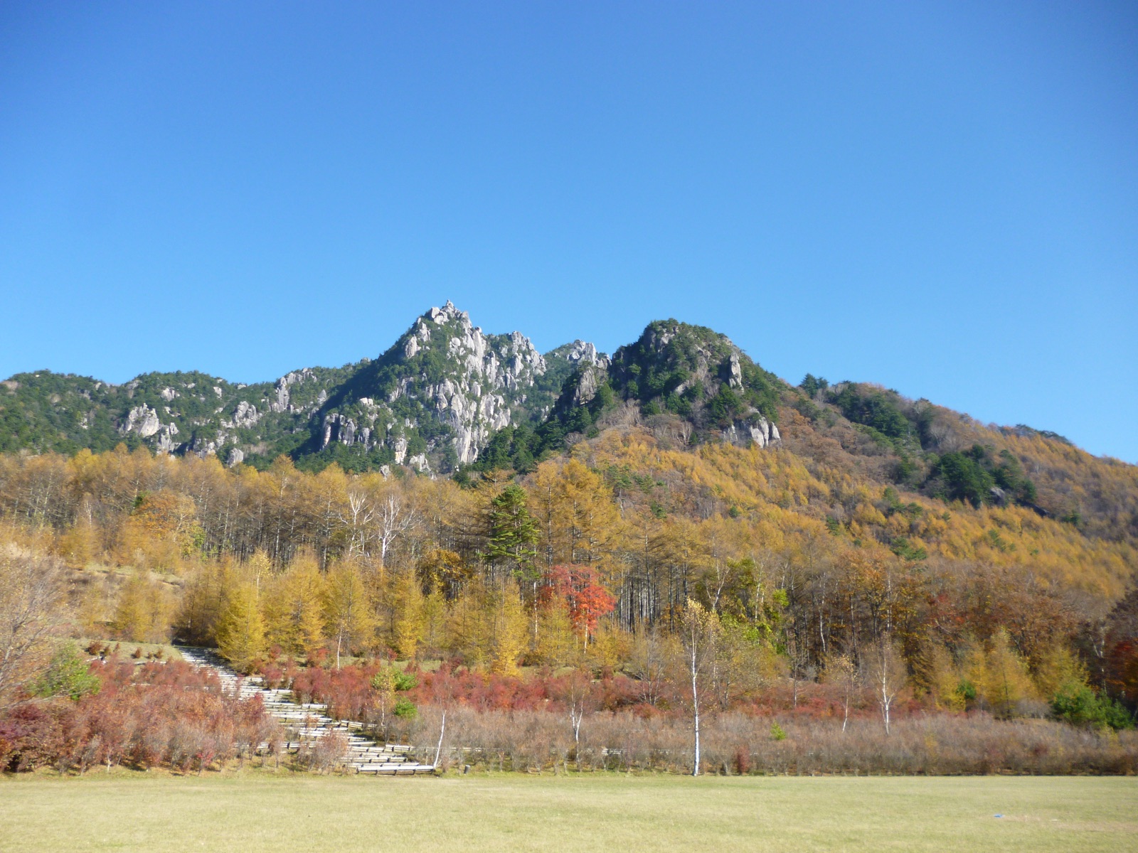 みずがき山自然公園キャンプ場の風景