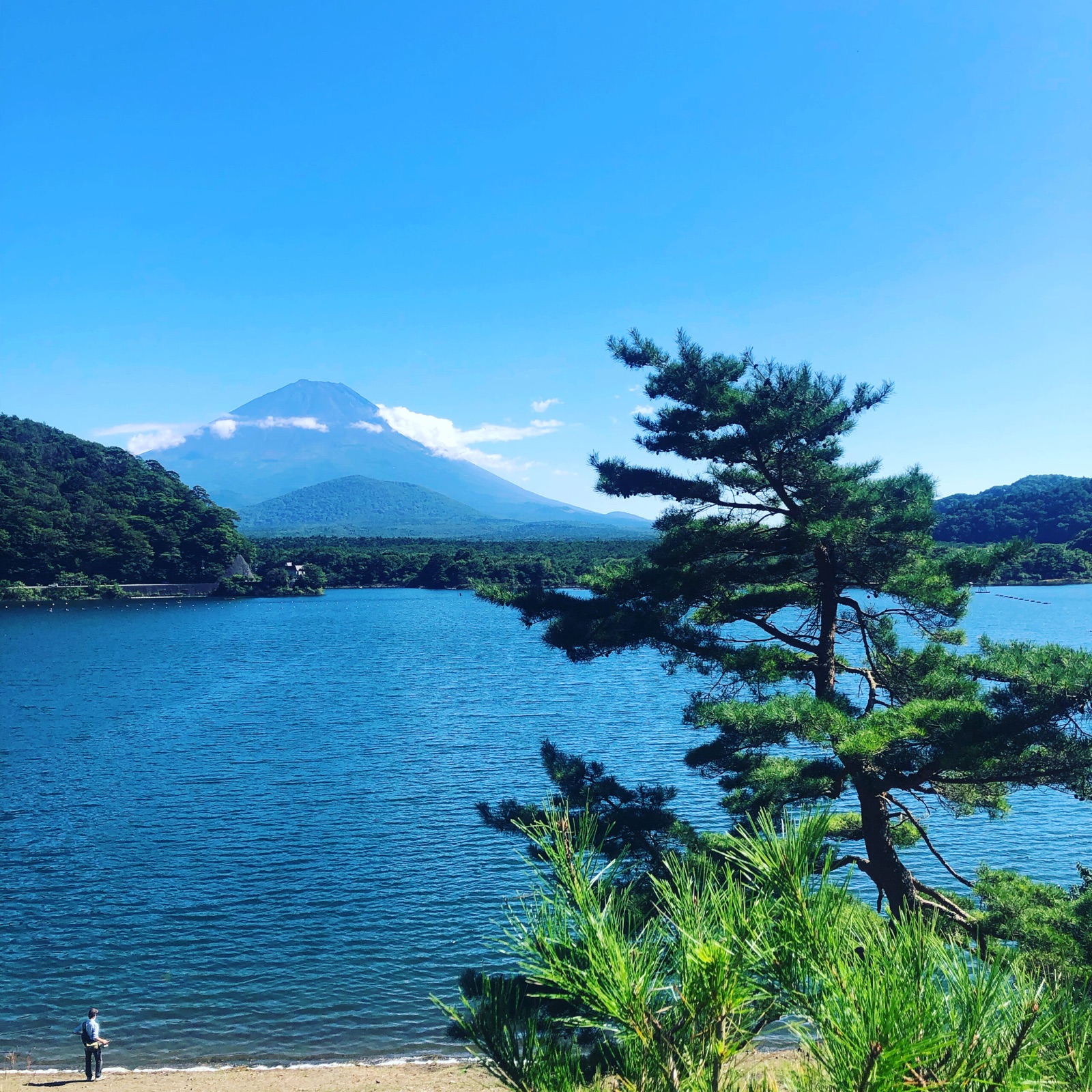 精進レークサイドキャンプ場の風景