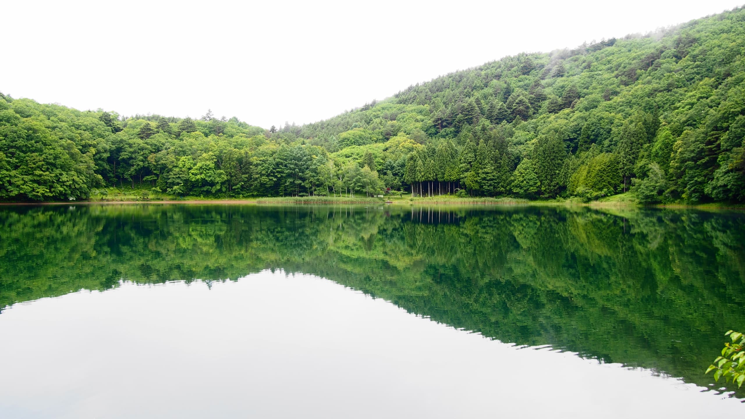 四尾連湖 水明荘キャンプ場の風景