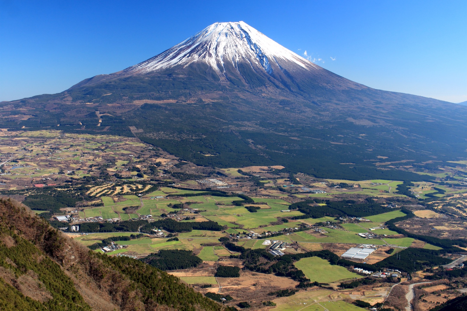 富士山YMCAグローバル・エコ・ヴィレッジの風景